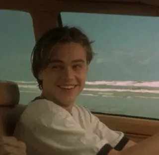 😂 Leonardo DiCaprio acteur, glimlach, portret, man, chauffeur, auto telegram sticker