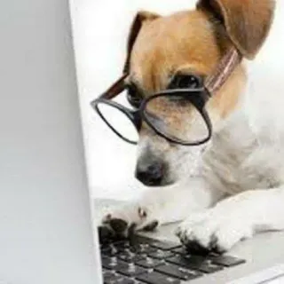 👨‍💻 perro, gafas, ordenador, animal, lindo telegram sticker