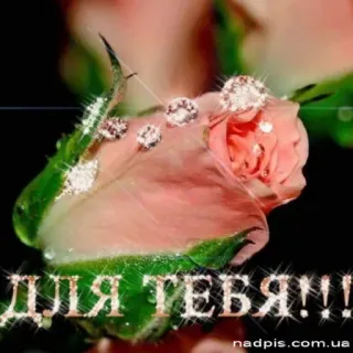 🔆 ДЛЯ ТЕБЯ!!! mawar, bunga, berbunga, romantis, berkilau, dekorasi telegram sticker
