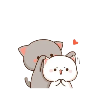 ❤️ cats, cute, animals, love, friendship, kawaii telegram sticker