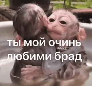 Больше стиков тут: @stikery4 whatsapp stickers