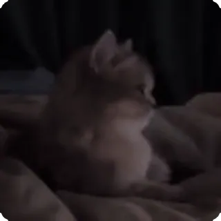 😏