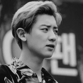 ⚓️ Chanyeol Chanyeol, EXO, K-Pop, Sänger, Schwarzweiß, Porträt, Koreanisch telegram sticker