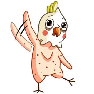 👋 pájaro, animal, cacatúa ninfa, lindo, dibujos animados, divertido, pegatina telegram sticker