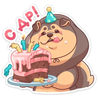 🥳 GAP! chó, sinh nhật, bánh, tiệc, lễ kỷ niệm, dễ thương, hài hước telegram sticker