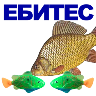 🐠 poisson, carpe, or, animal, aquatique whatsapp sticker