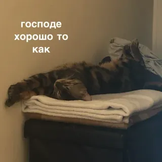😌 господе
хорошо то
как แมว, นอนหลับ, รัสเซีย, ข้อความ telegram sticker