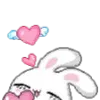 🐰