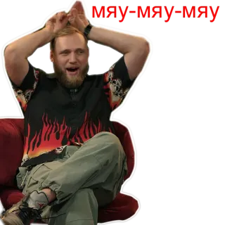 🐱 МЯУ-МЯУ-МЯУ man, russian, beard, funny, expression, meme telegram sticker