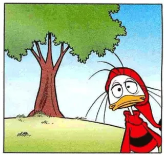 😐 Anatra cartone animato, Antropomorfo, Personaggio, Stile Disney whatsapp sticker