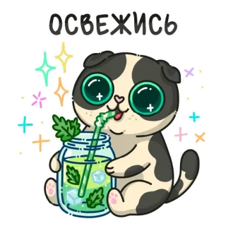 🐱 ОСВЕЖИСЬ telegram sticker