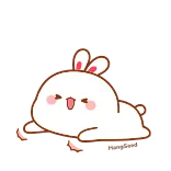 😂 conejo, animal, lindo, kawaii, conejo whatsapp sticker