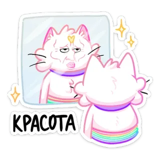 Котострофа :: @stickroom whatsapp stickers