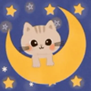 🌙