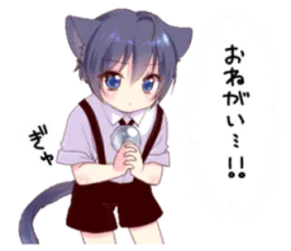 🙏 おねがいミィ!! Anime, Kucing, Kawaii, Permintaan, Lucu, Anak kucing, Memohon telegram sticker