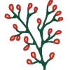 🌹