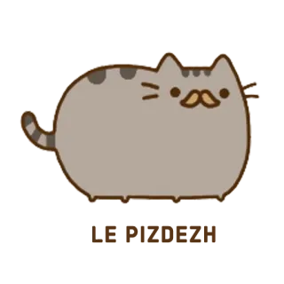 🤐 кот, Pusheen, стикер, милый, мультфильм whatsapp sticker