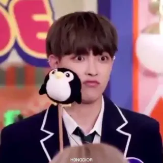 🐥 HONGDIOR persona, uomo, pinguino, espressione facciale telegram sticker