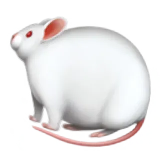 🐁 whatsapp sticker