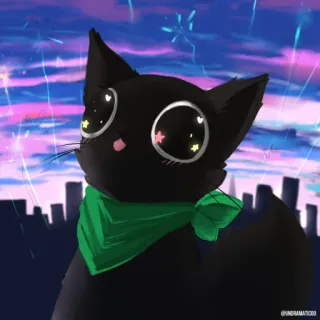 🌟 gato, fuegos artificiales, gato negro, gato caricatura, sticker, kawaii telegram sticker