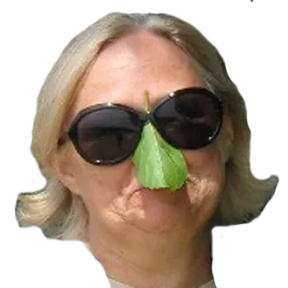 🙈 donna, occhiali da sole, foglia, divertente, ritratto, faccia telegram sticker