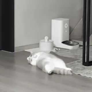 🐈 кот, питомец, ленивый, кормушка для кошек, животное, домашнее животное, домашний питомец, сон telegram sticker