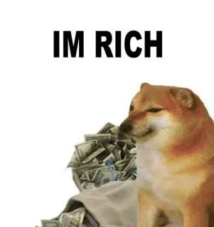 🔥 IM RICH doge, 돈, 부자, 밈, 개 telegram sticker