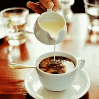 ☕ Kaffee, Sahne, Getränk, Getränk, Koffein telegram sticker