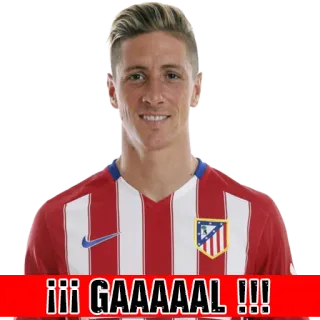 Atletico de Madrid whatsapp stickers