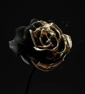 🔱 バラ, 花, 黒, ゴールド, 自然, 植物 telegram sticker