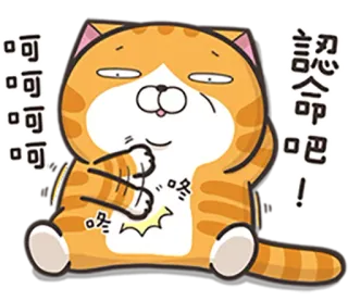 😢 呵呵呵呵呵
認命吧！ кот, стикер, мультфильм, оранжевый, милый, смешной telegram sticker