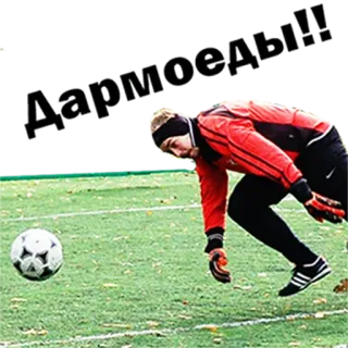 🤬 Дармоеды!! calcio, football, sport, portiere, russo, dispregiativo, insulto telegram sticker