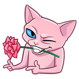 🌹 kot, kwiat, róża, różowy, kreskówka, zwierzę whatsapp sticker