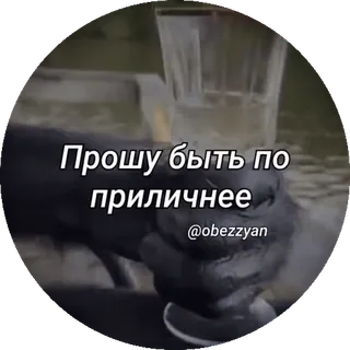 🌟 Прошу быть по приличнее
@obezzyan telegram sticker