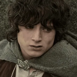 💍 Frodo Baggins The Lord of the Rings Frodo, Senhor dos Anéis, Elijah Wood, hobbit, fantasia whatsapp sticker