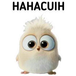 🙃 HAHACUIH sticker, pájaro, lindo, dibujo animado, animal telegram sticker
