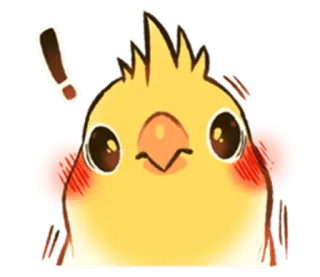 ❗️ calopsita, pássaro, fofo, animal, adesivo, exclamação, kawaii telegram sticker