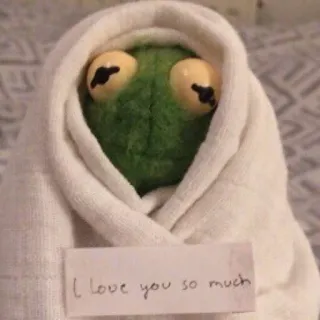 🤗 Kermit I love you so much kermit la rana, amor, afecto, envuelto, toalla telegram sticker