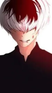 😁 Todoroki Shoto My Hero Academia Anime, Manga, Todoroki, My Hero Academia, Superheld, Charakter whatsapp sticker
