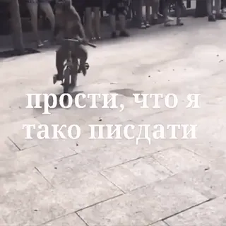 🐵 прости, что я
тако пиздати bici, calle, ruso, palabrota whatsapp sticker