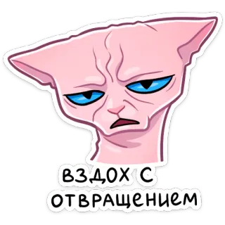 😐 ВЗДОХ С ОТВРАЩЕНИЕМ кот, сфинкс, смешной, мем, выражение, отвращение, вздох, розовый telegram sticker