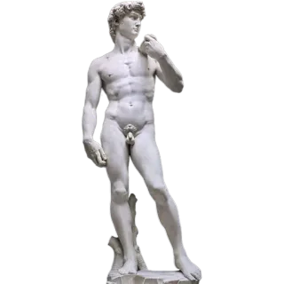 🧍 David statue, David, nude, art, renaissance telegram sticker