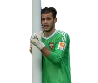 🤗 football, gardien, sport, joueur telegram sticker
