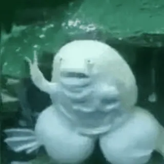 🐸 hài hước, cá, cá blob, ngón giữa, thô lỗ, hài hước telegram sticker