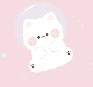 🩰 cat, cute, animal, kawaii, sticker, cartoon, white cat telegram sticker