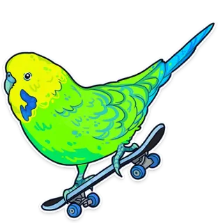 🛹 ptak, papużka falista, jazda na deskorolce, deskorolka, zwierzę, kreskówka, naklejka telegram sticker