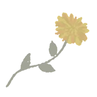 🌼