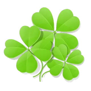 🍀 trevo, shamrock, boa sorte, verde, folha, planta telegram sticker