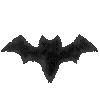 🦇