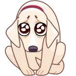 🥺 cão, triste, filhote, fofo, animal whatsapp sticker